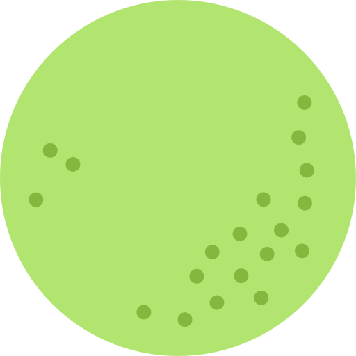 honeydew